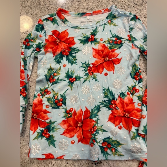 Posh Peanut Banboo Pajamas Christmas Winter 2T - Picture 3 of 7